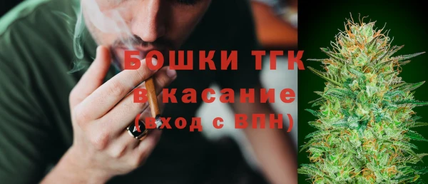 амф Каменка