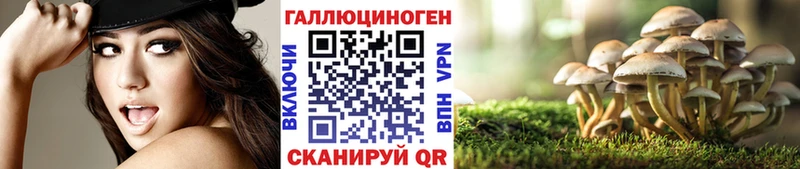 Псилоцибиновые грибы мицелий  где купить наркоту  Заозёрный 