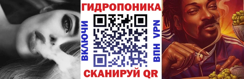 Бошки марихуана сатива  закладка  Заозёрный 